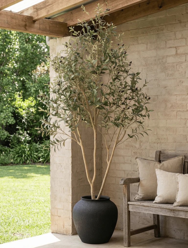 Elevate Your Space with Contempee