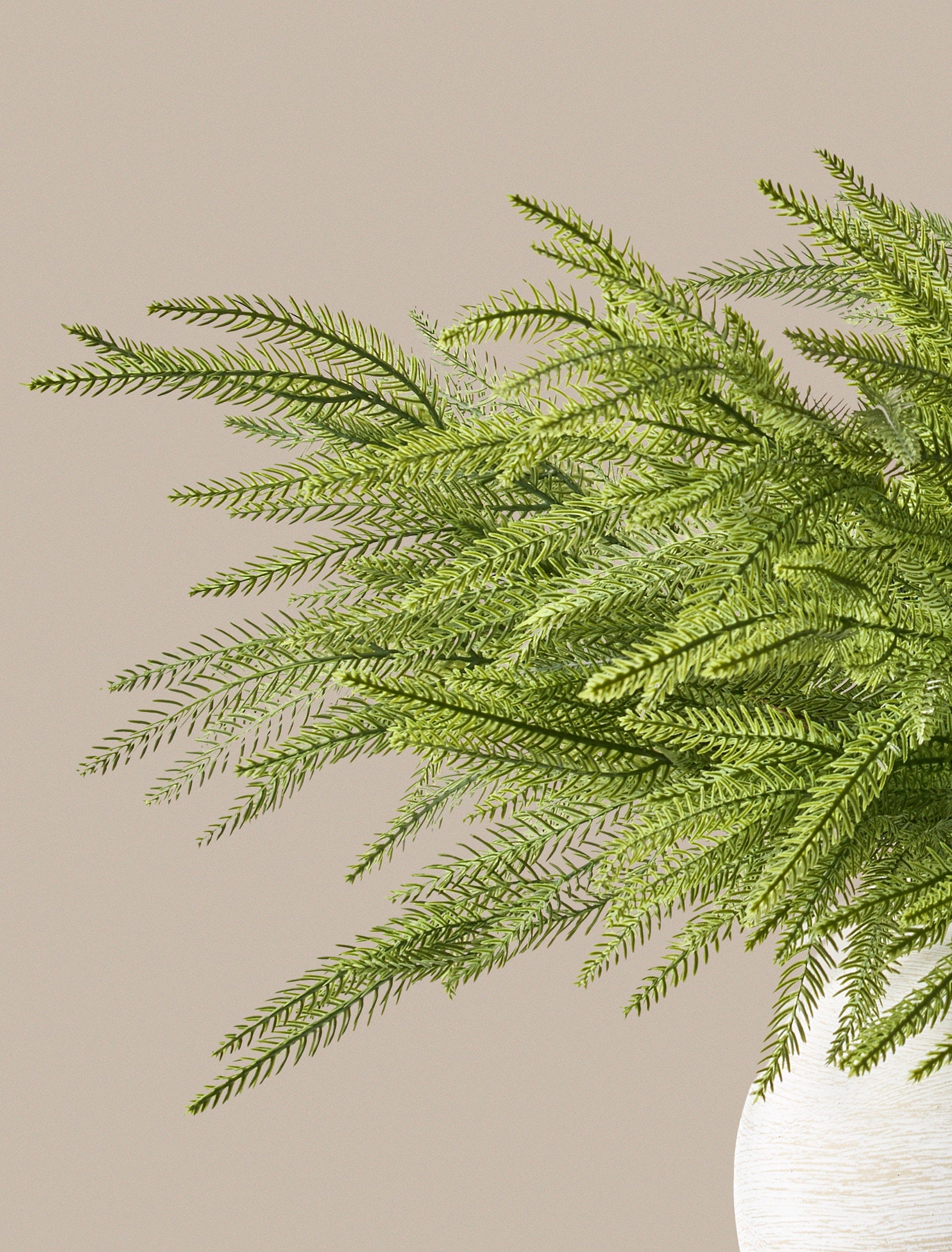 Faux Norfolk Pine (5 Stems) - Image 5