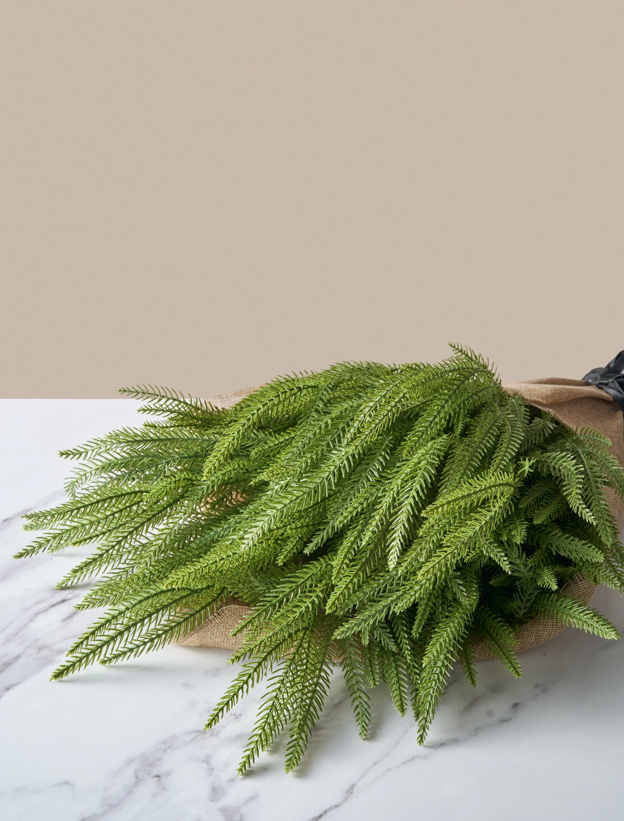 Faux Norfolk Pine (5 Stems) - Image 6