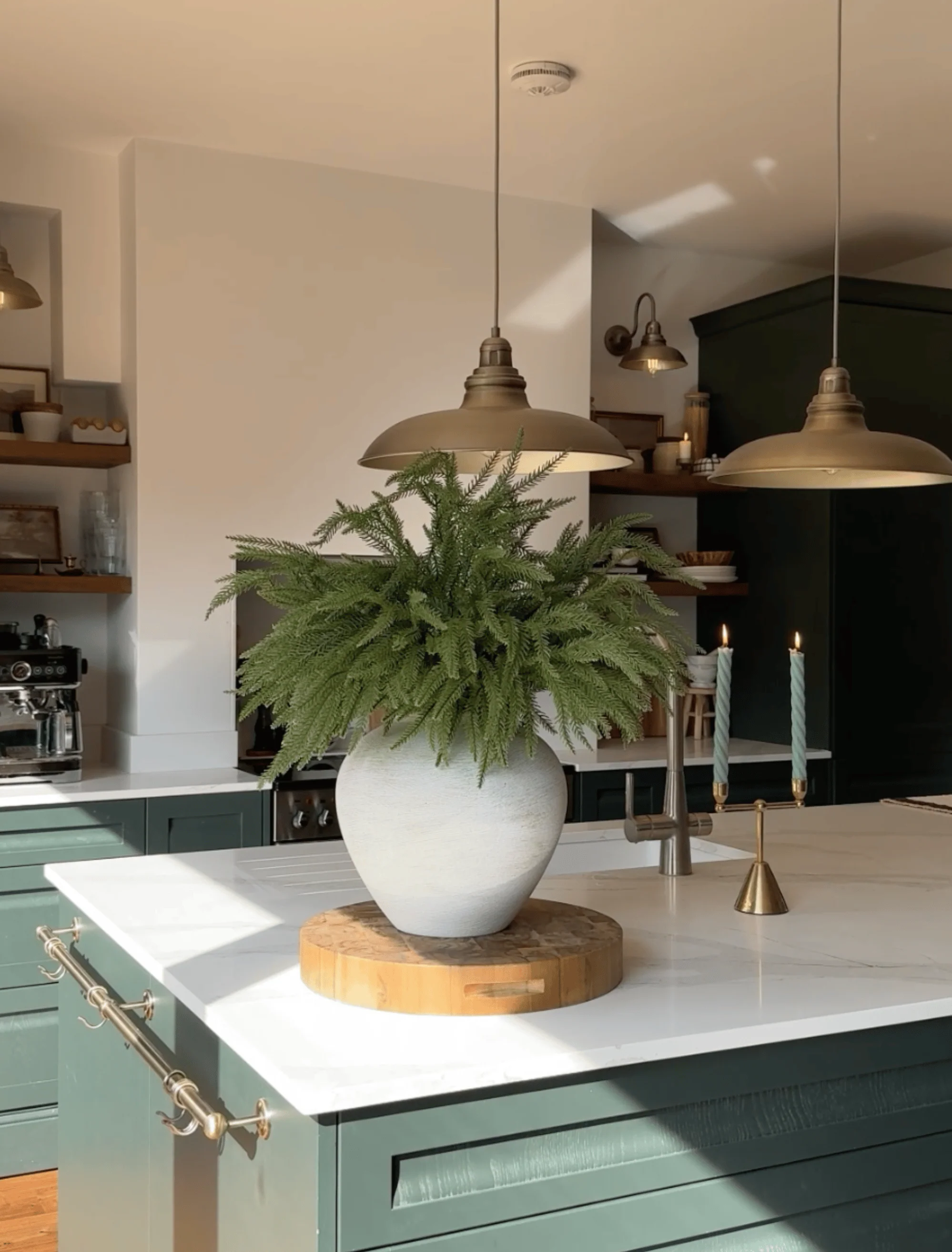 Faux Norfolk Pine (5 Stems) - Image 7