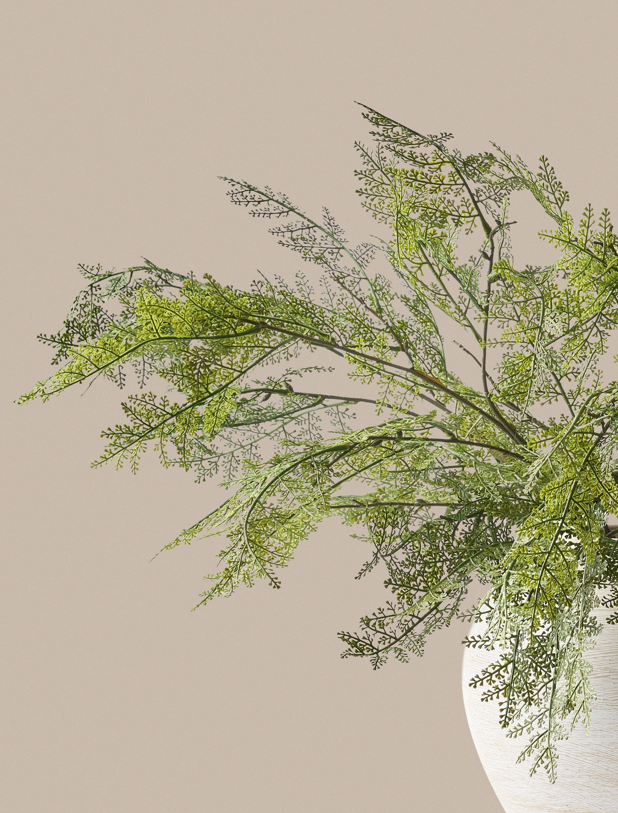 Faux Arrangement - Winter Fern Stems (5 Stems) - Image 4