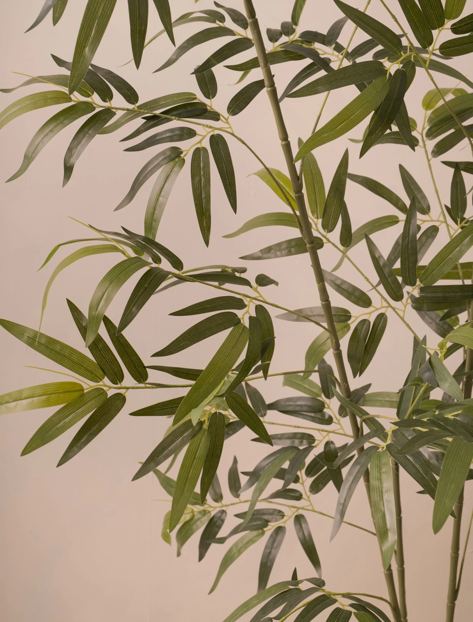 Faux Bamboo Tree (Indoor or Outdoor) 172cm / 5ft 8in - Image 4