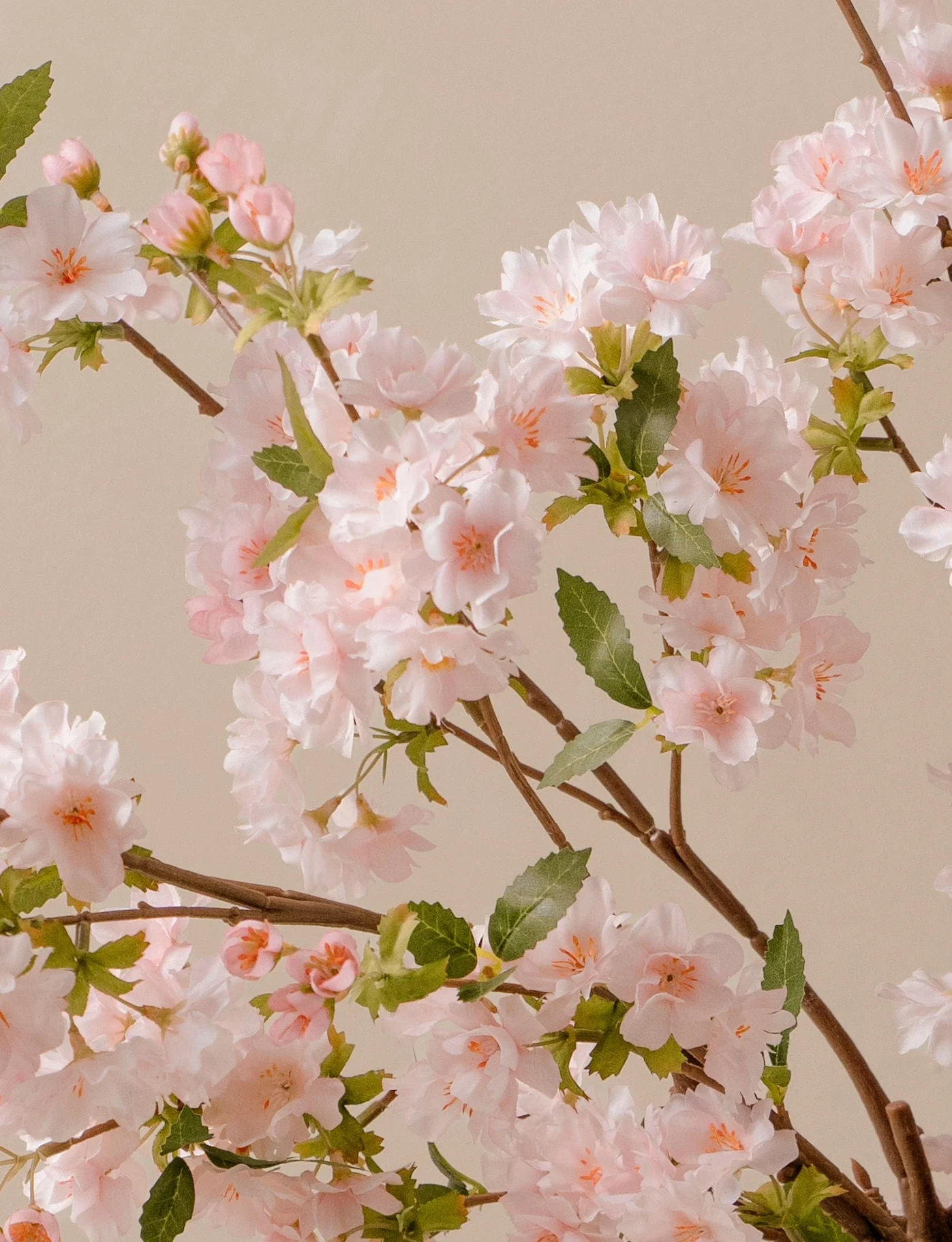 Faux Japanese Cherry Blossom - Blush (6 Stems) - Image 3