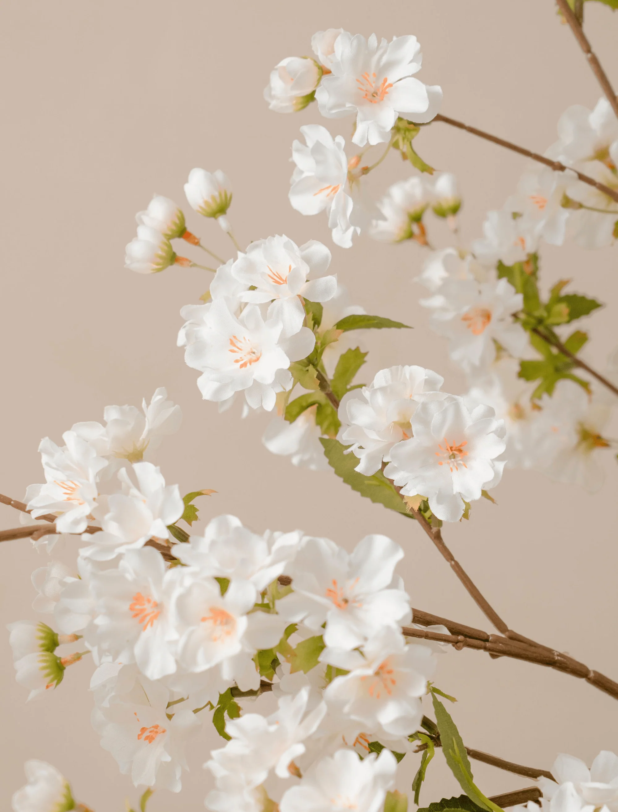 Faux Japanese Cherry Blossom - White (6 Stems) - Image 3
