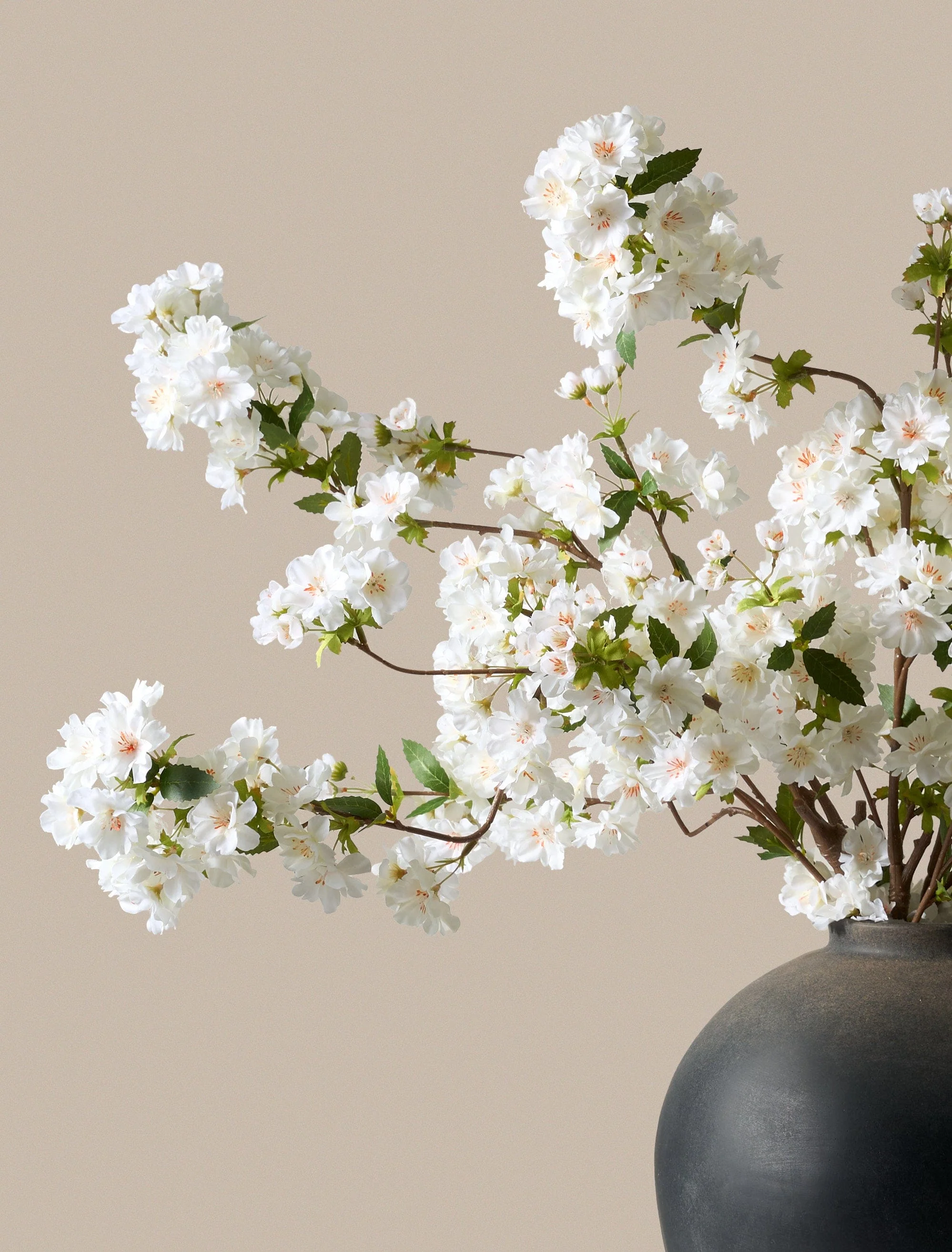 Faux Japanese Cherry Blossom - White (6 Stems) - Image 5