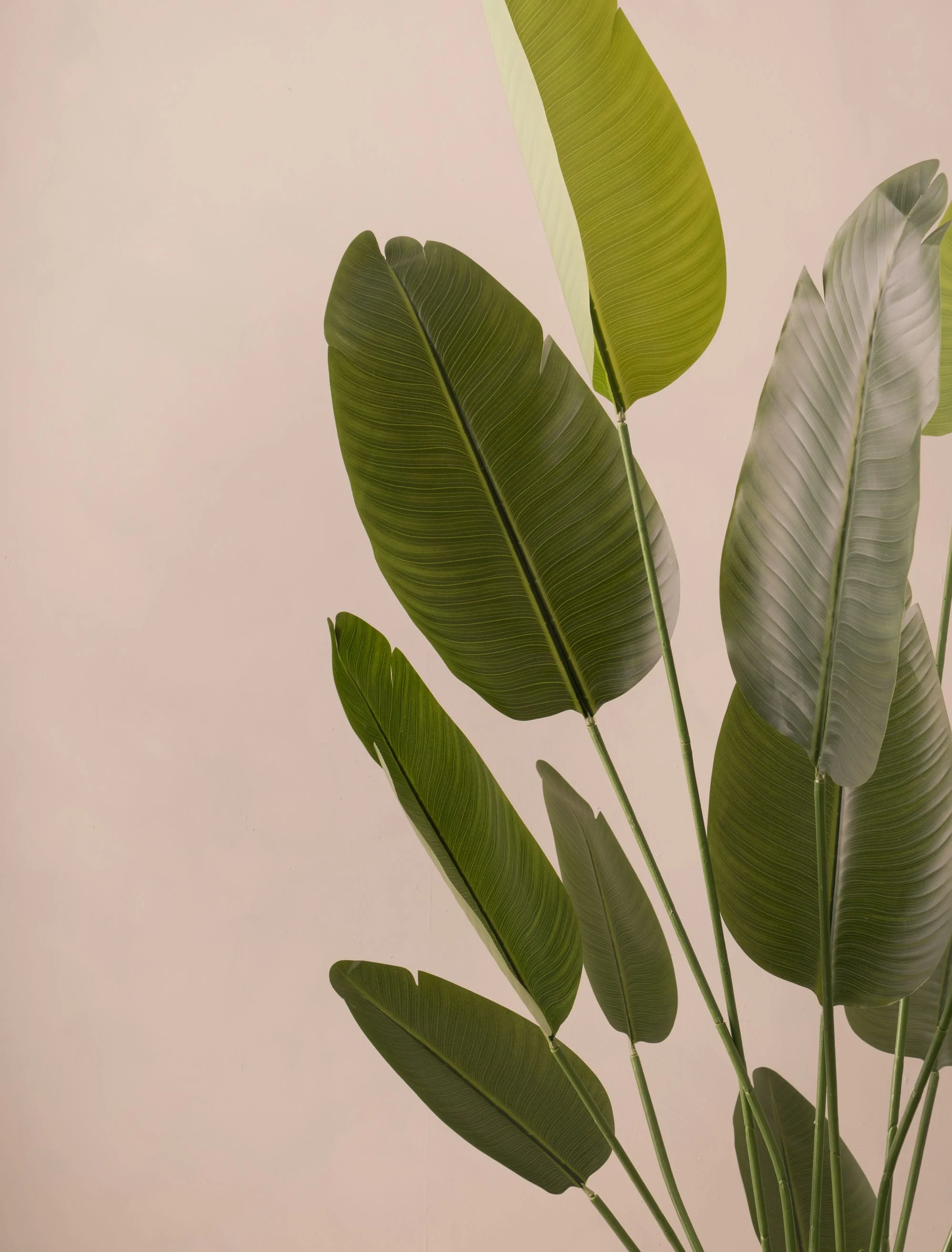 Faux Outdoor Birds Of Paradise Tree (Indoor or Outdoor) 180cm / 5ft 11in - Image 3