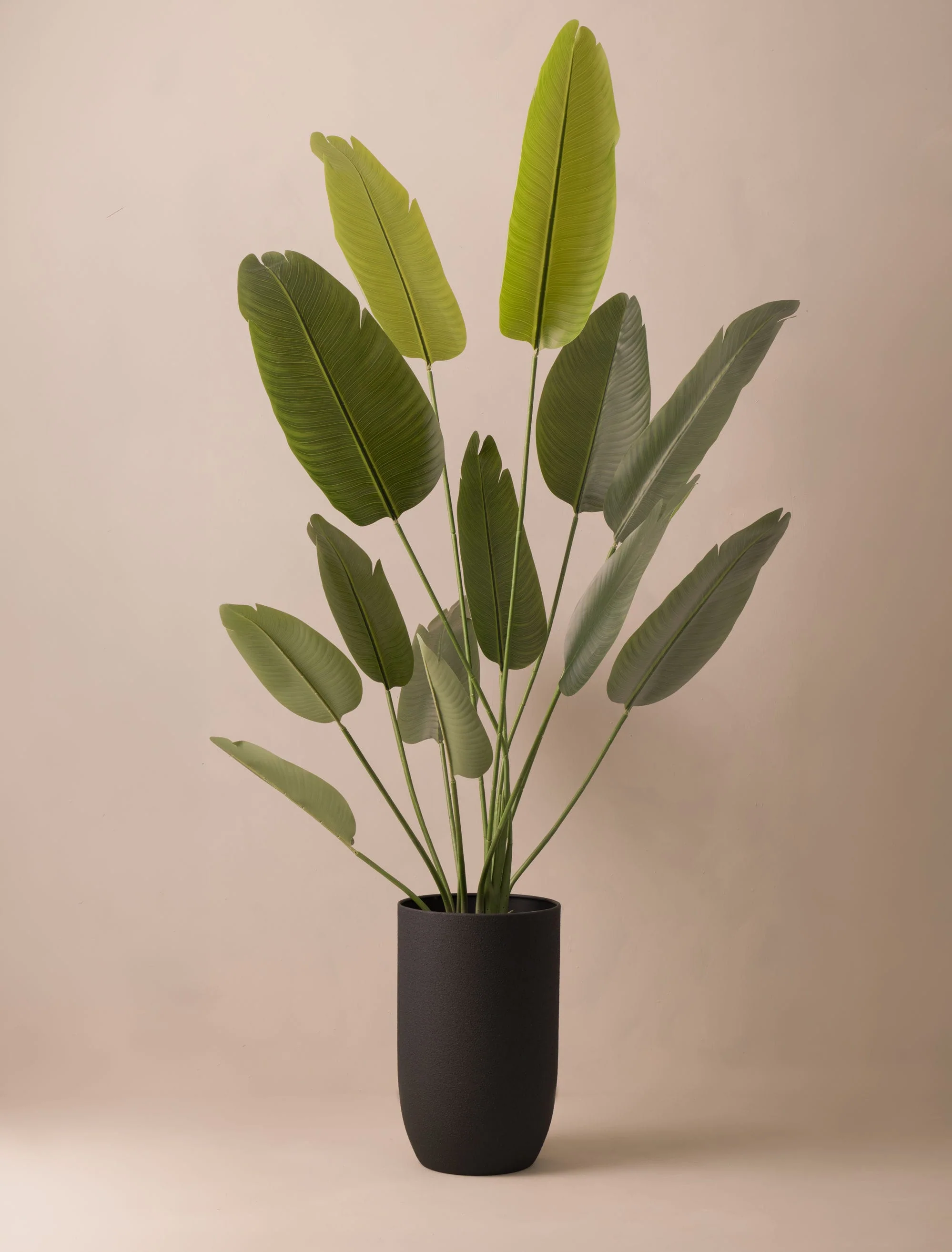 Faux Outdoor Birds Of Paradise Tree (Indoor or Outdoor) 180cm / 5ft 11in - Image 5