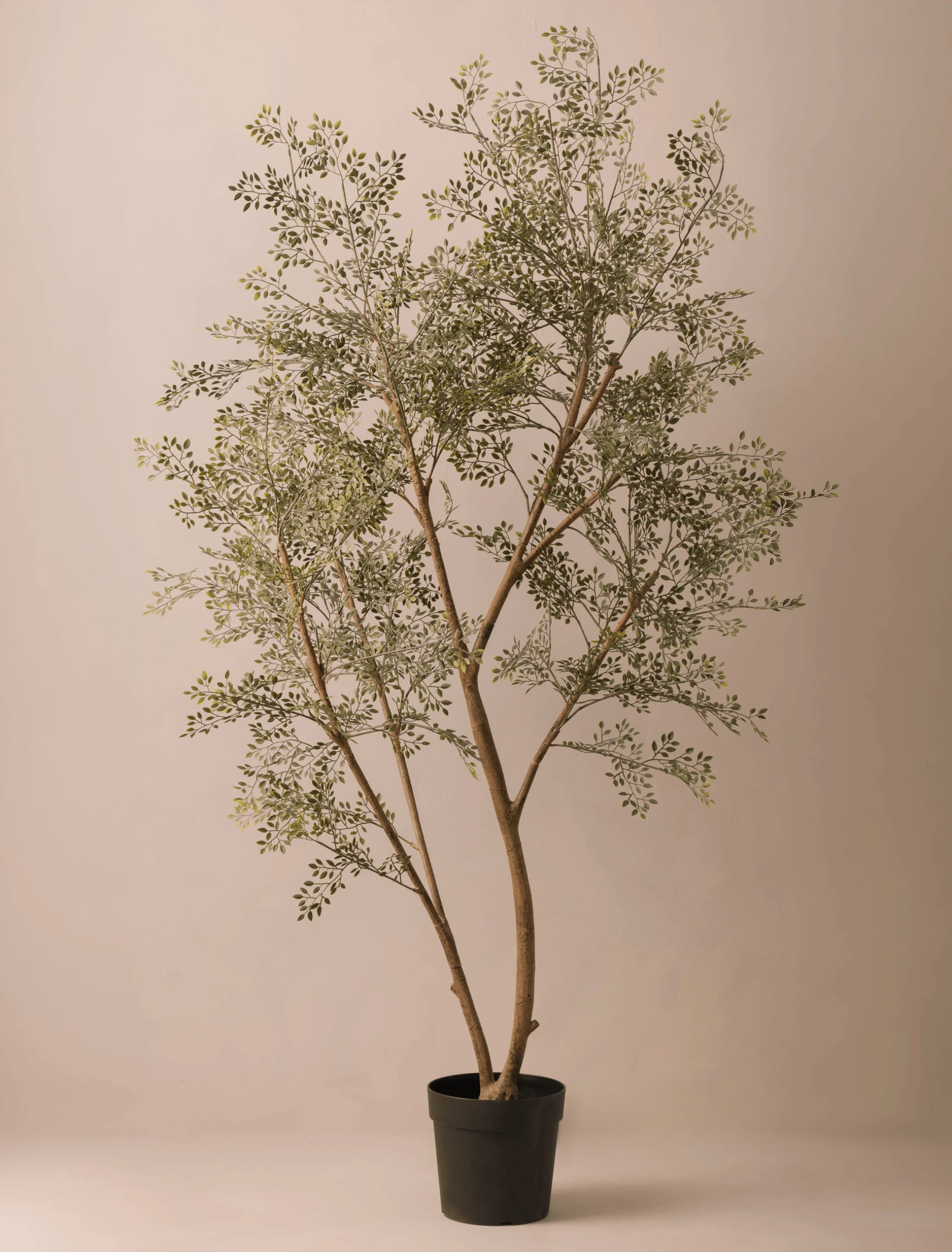 Faux Ruscus Tree (Indoor or Outdoor) 185cm / 6ft 1in - Image 3