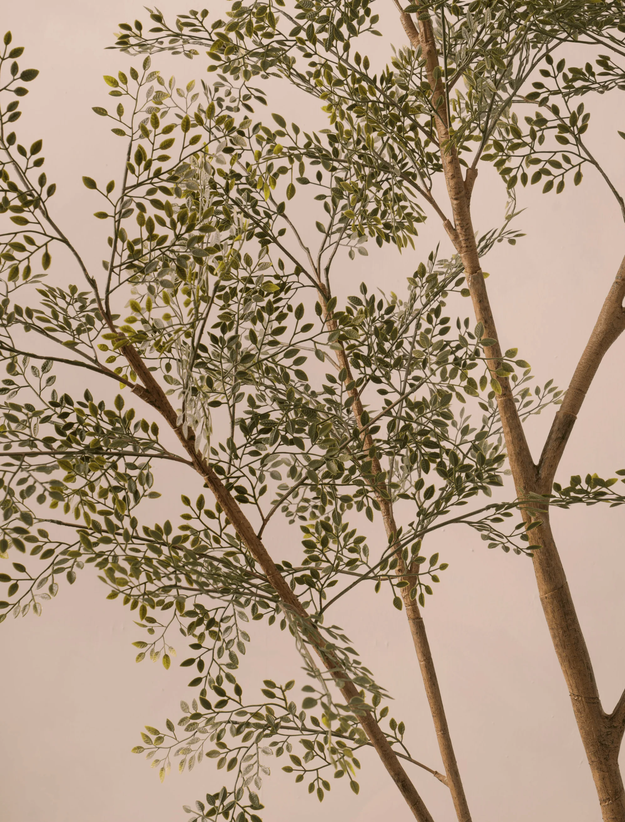 Faux Ruscus Tree (Indoor or Outdoor) 185cm / 6ft 1in - Image 4