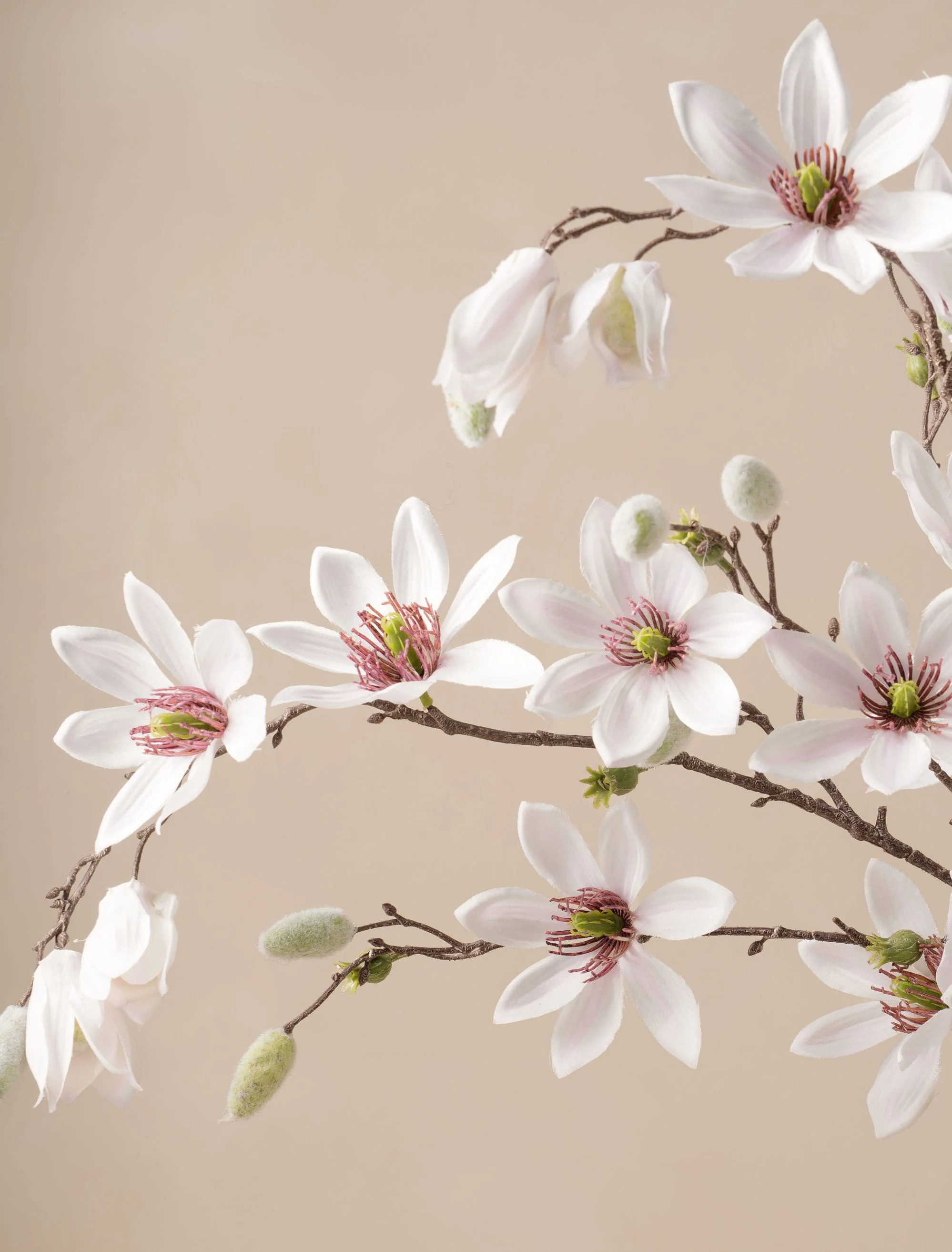 Faux Tall Magnolia - White (8 stems) - Image 3