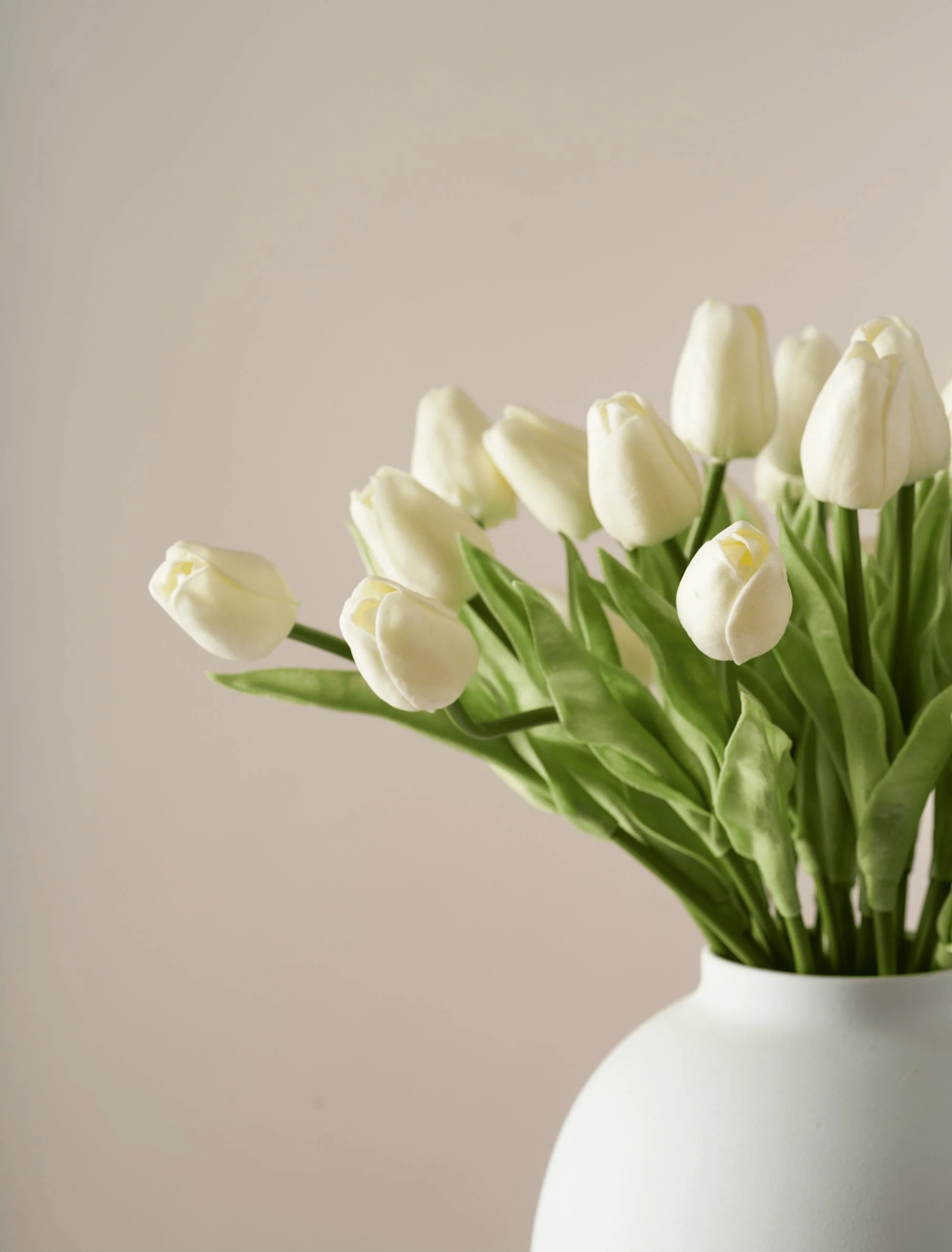 Faux Tulip - Ivory (25 Stems) - Image 3