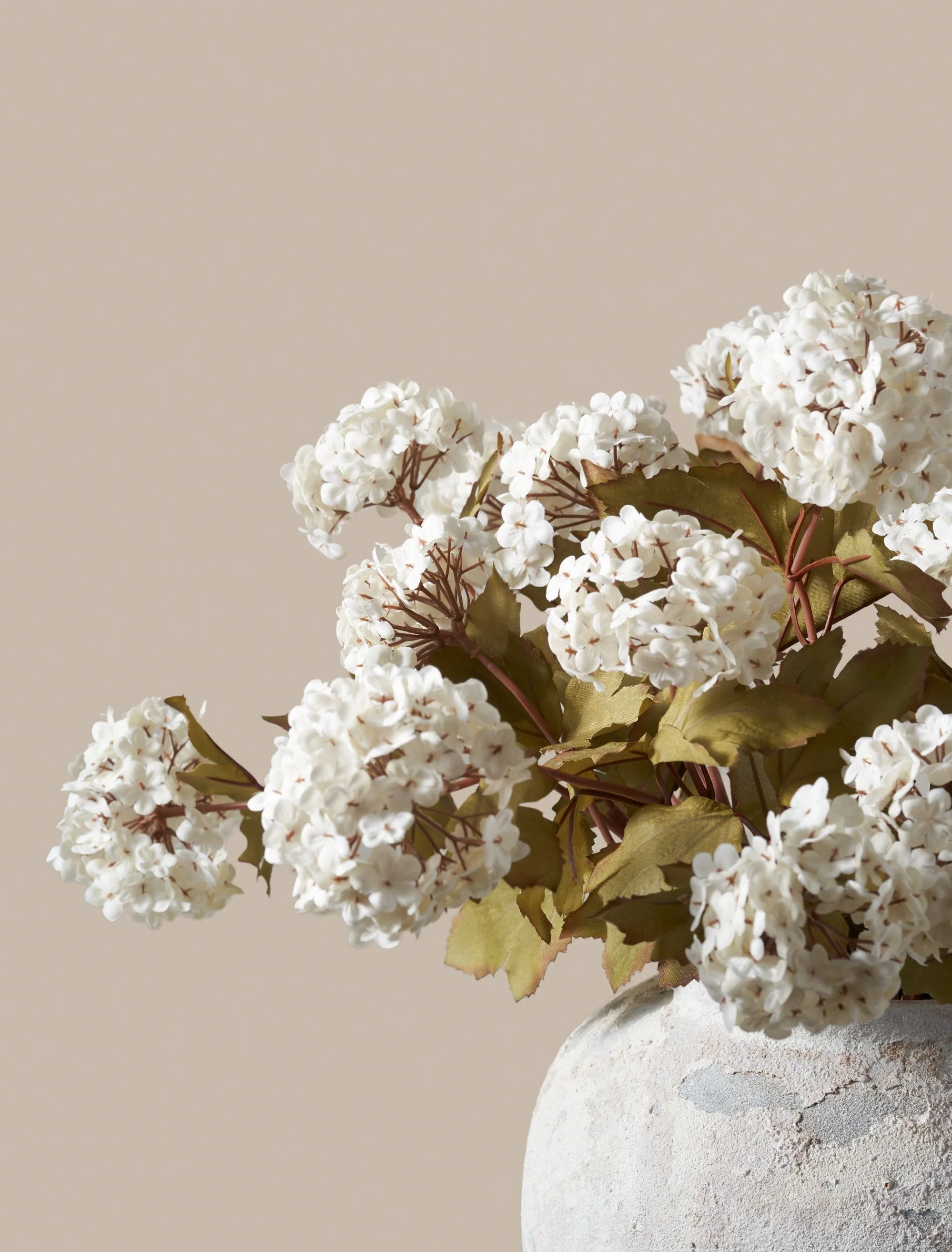 Faux Viburnum Flower - White (7 stems / 21 heads) - Image 3