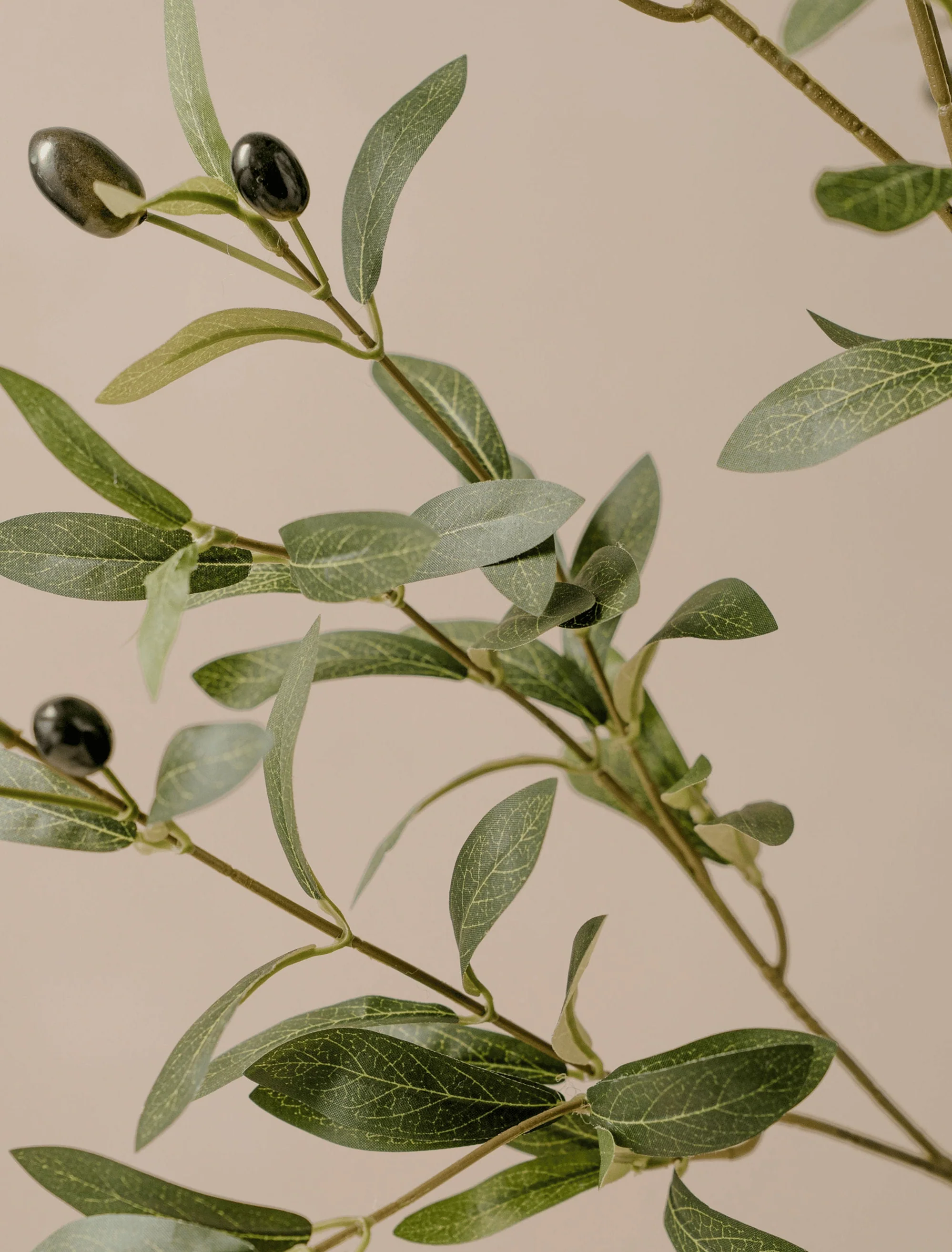 Faux Olive Oversized Branch (2 branches) - Image 3