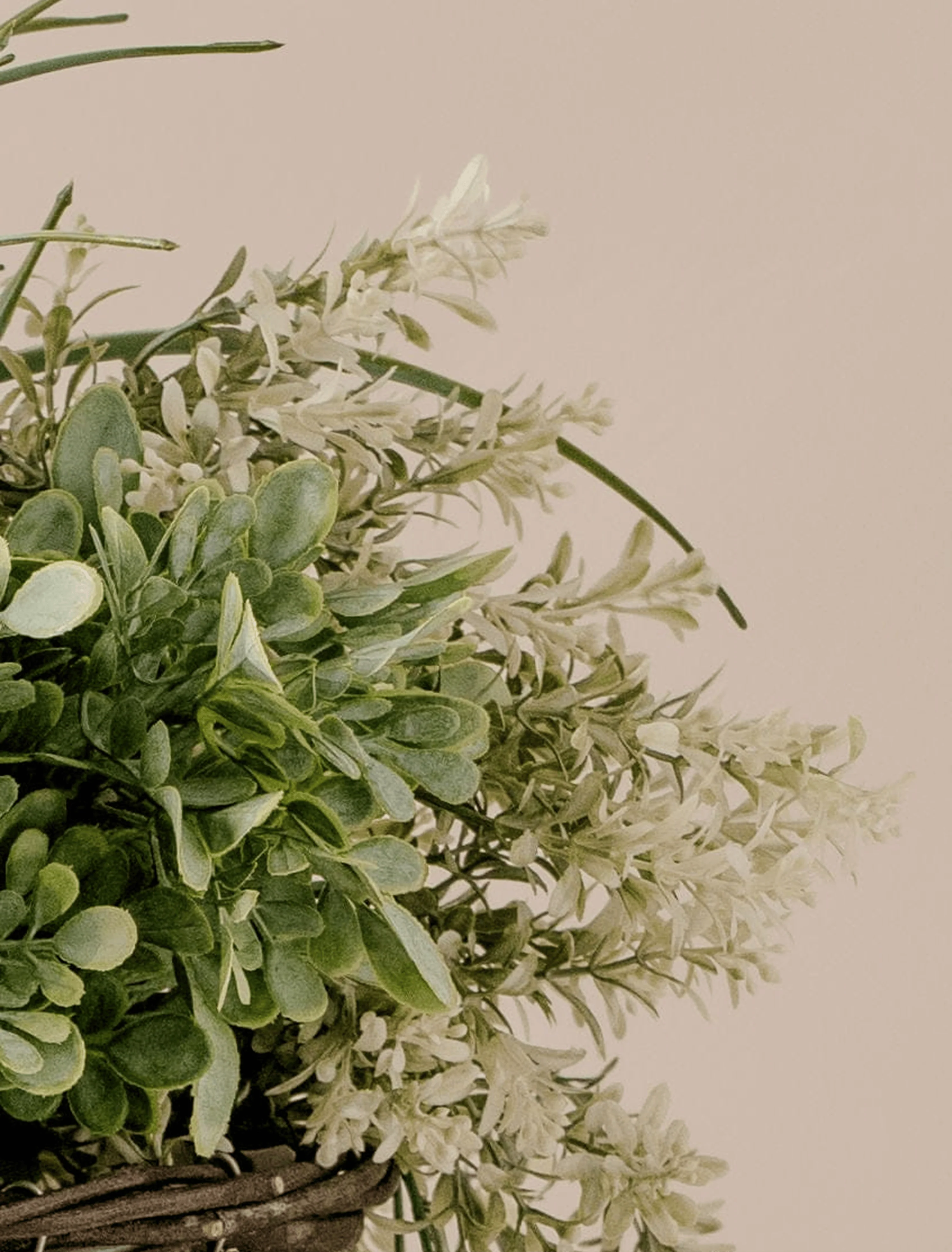 Outdoor Hanging Floral Basket - Green & Purple - Image 8