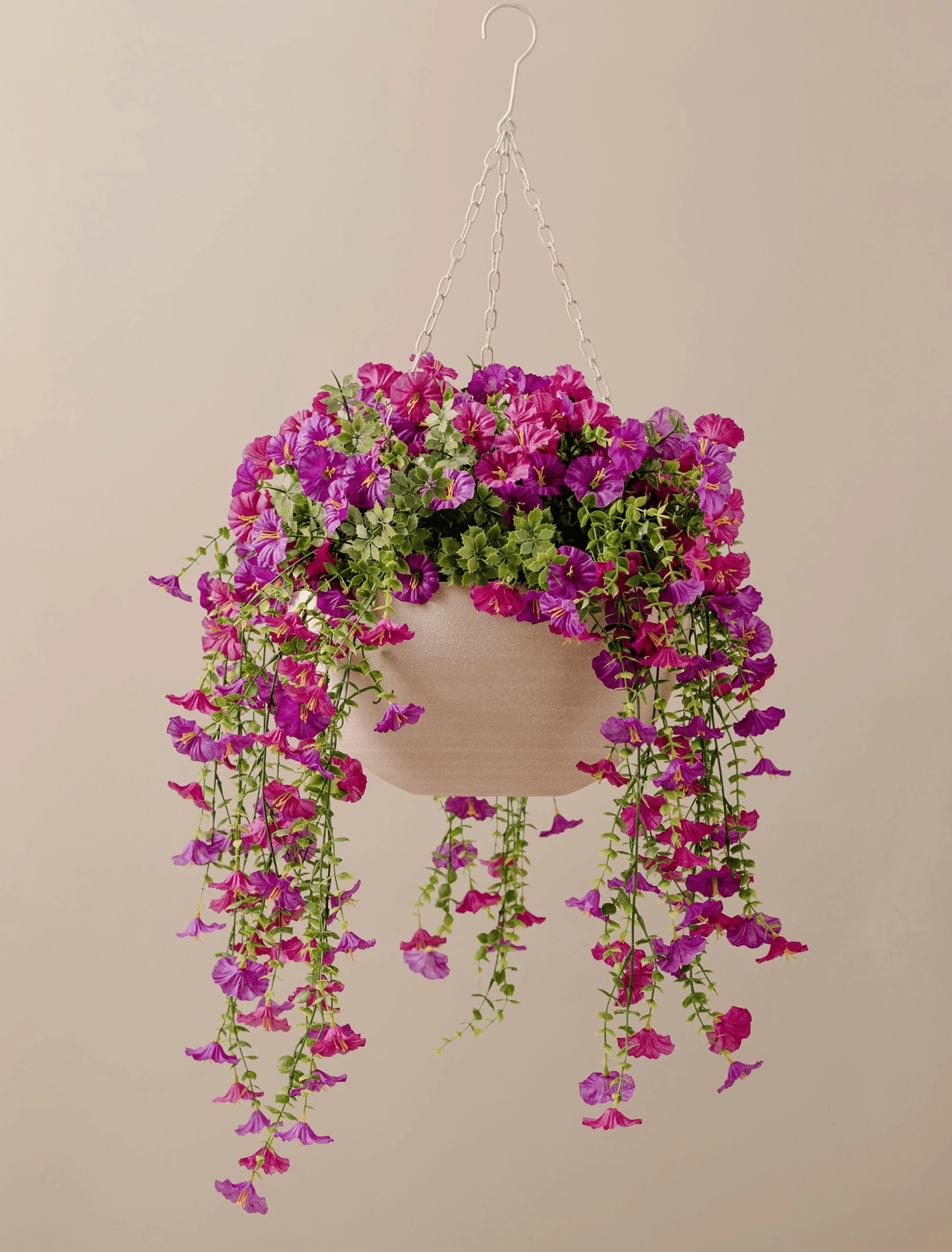 Outdoor Hanging Petunia Basket - Purple - Image 3