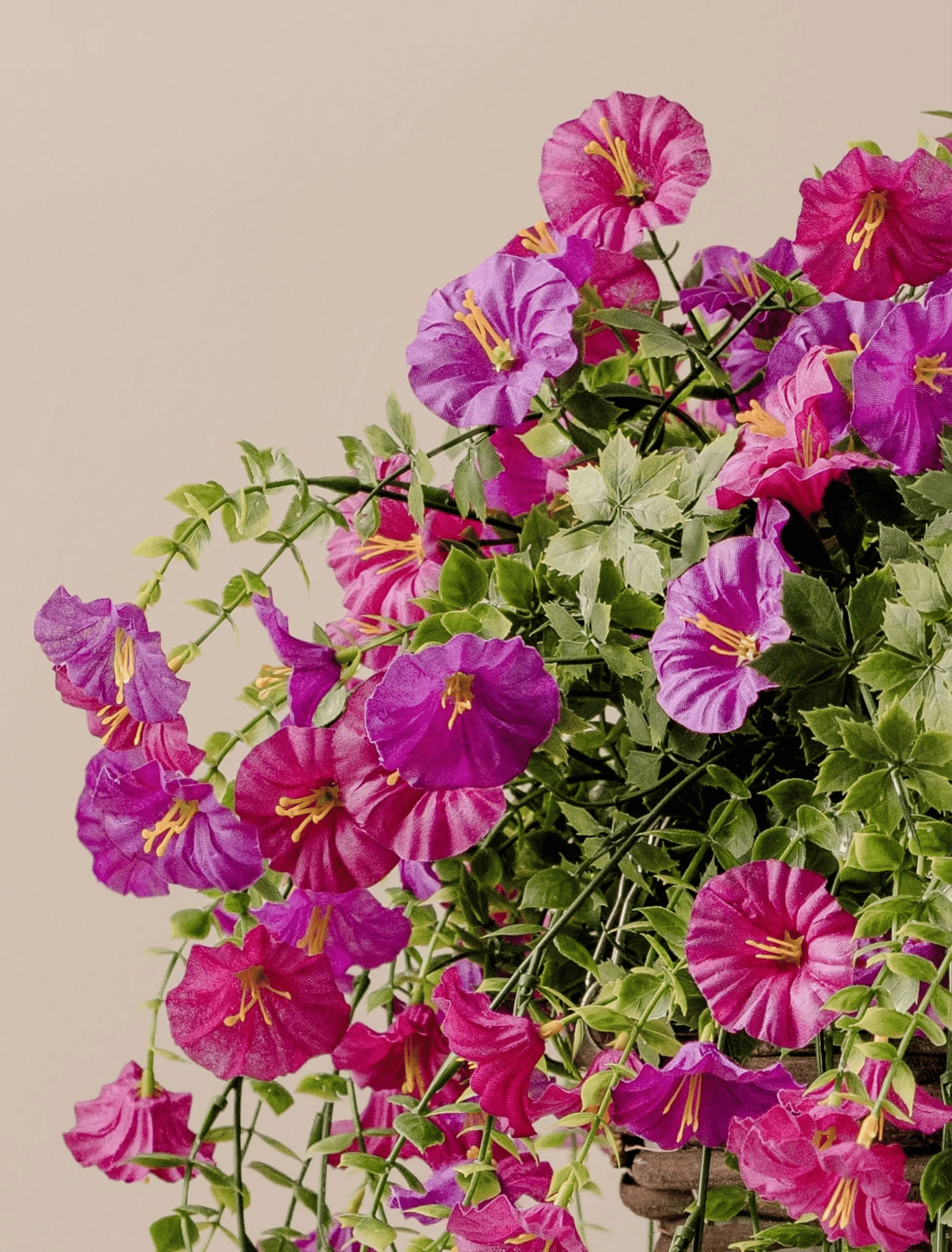 Outdoor Hanging Petunia Basket - Purple - Image 5