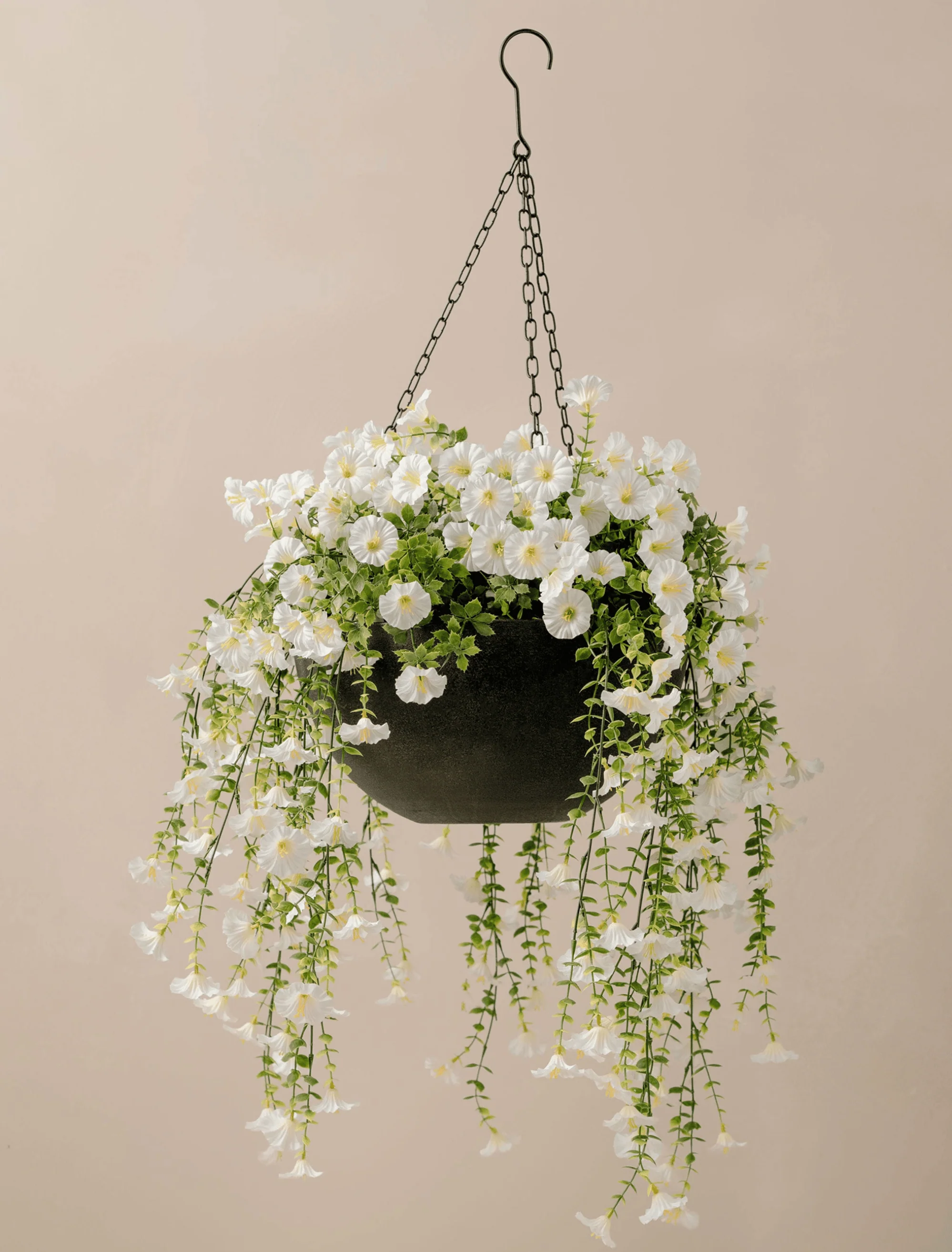 Outdoor Hanging Petunia Basket - White - Image 3