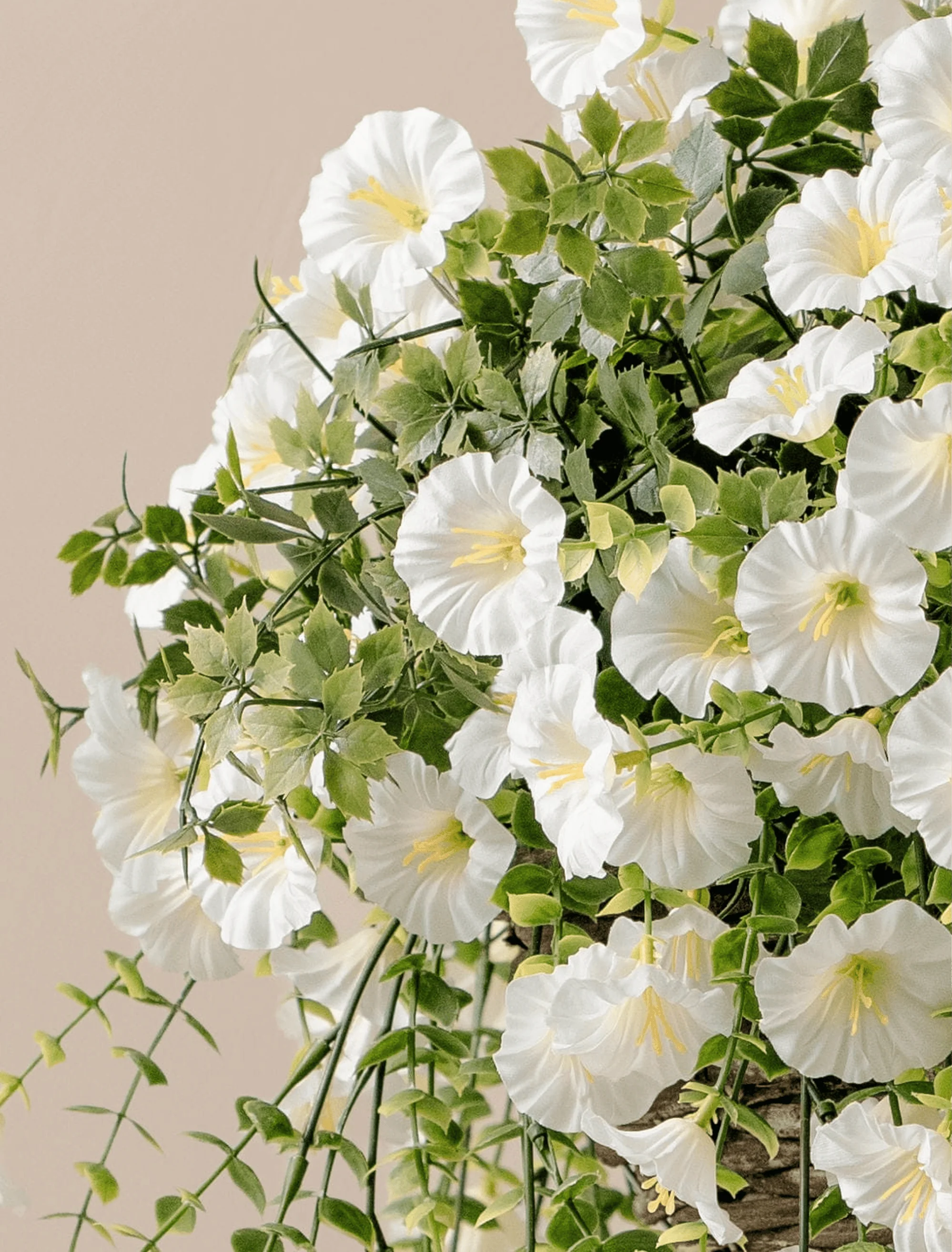 Outdoor Hanging Petunia Basket - White - Image 5